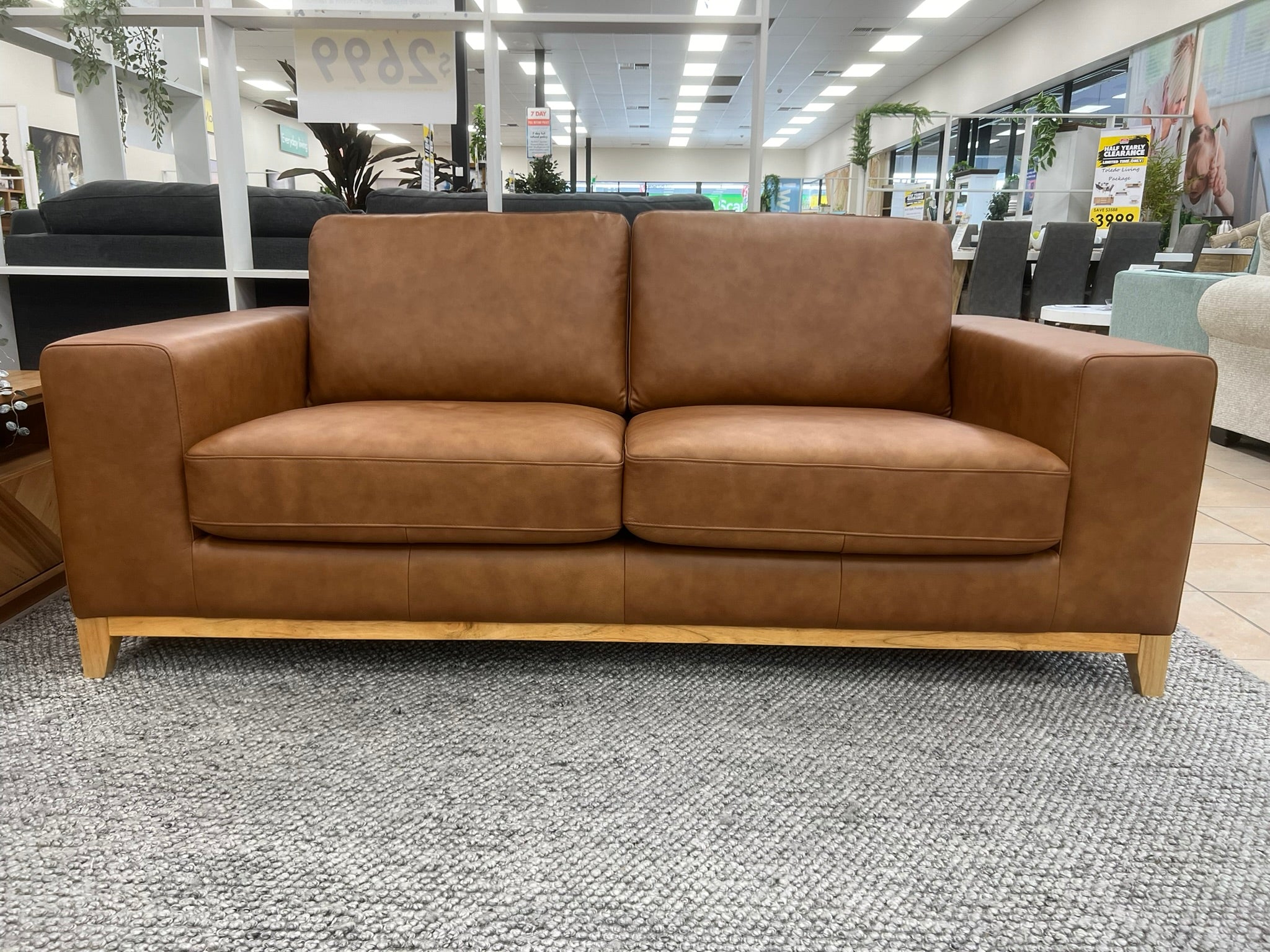 Bliss 2 Seater In Tan Leather